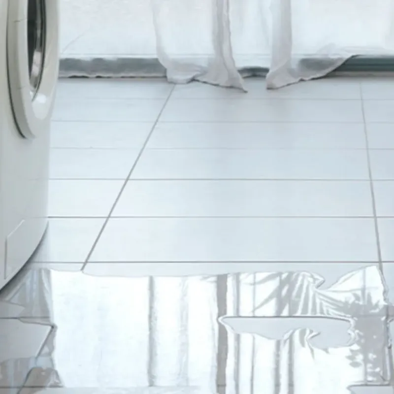 Appliance Leak Cleanup in Wanchese, NC